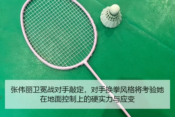 zhang-wei-li-wei-mian-zhan-dui-shou-qiao-ding-dui-shou-huan-quan-feng-ge-jiang-kao-yan-ta-zai-di-mian-kong-zhi-shang-de-3-747.jpg