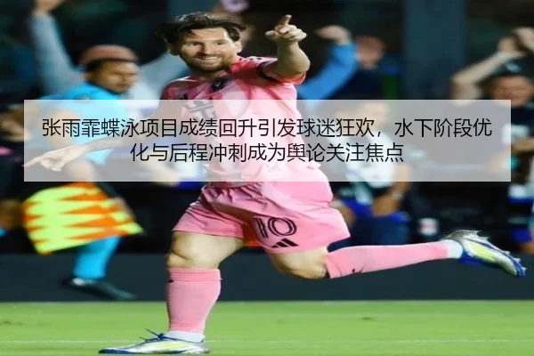 zhang-yu-fei-die-yong-xiang-mu-cheng-ji-hui-sheng-yin-fa-qiu-mi-kuang-huan-shui-xia-jie-duan-you-hua-yu-hou-cheng-chong-1-601.jpg
